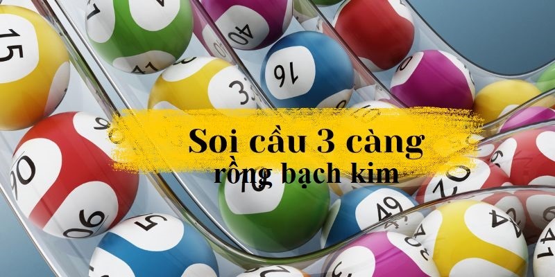 Tìm hiểu rồng bạch kim ba càng là gì?